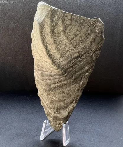 Каменный нож (Палеолит Енисея) Птица Артюга